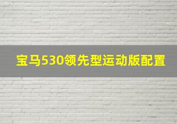 宝马530领先型运动版配置