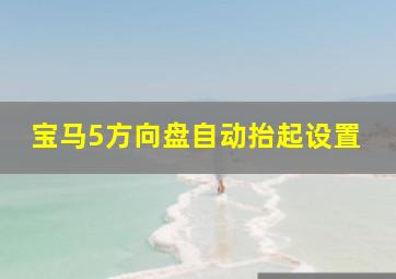 宝马5方向盘自动抬起设置