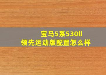 宝马5系530li领先运动版配置怎么样