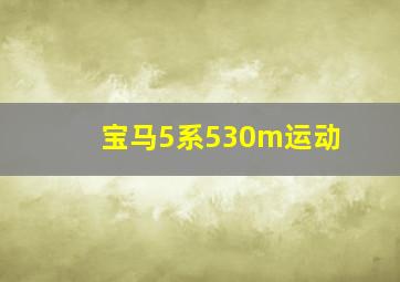 宝马5系530m运动