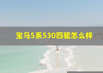 宝马5系530四驱怎么样