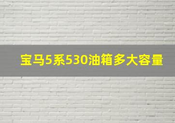 宝马5系530油箱多大容量