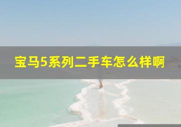 宝马5系列二手车怎么样啊