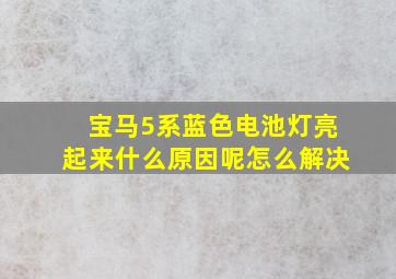 宝马5系蓝色电池灯亮起来什么原因呢怎么解决