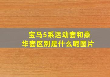 宝马5系运动套和豪华套区别是什么呢图片