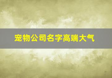 宠物公司名字高端大气