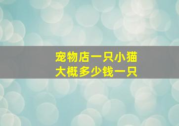 宠物店一只小猫大概多少钱一只