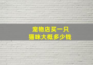 宠物店买一只猫咪大概多少钱