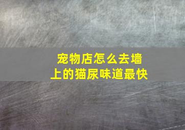 宠物店怎么去墙上的猫尿味道最快