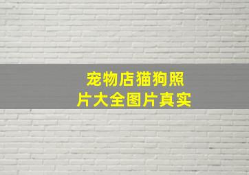 宠物店猫狗照片大全图片真实