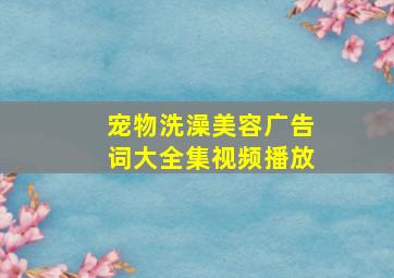 宠物洗澡美容广告词大全集视频播放