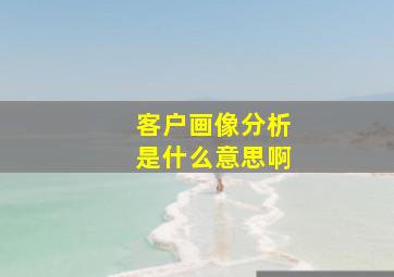 客户画像分析是什么意思啊