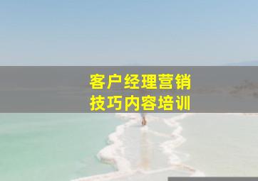 客户经理营销技巧内容培训