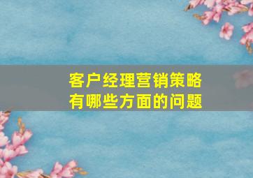 客户经理营销策略有哪些方面的问题