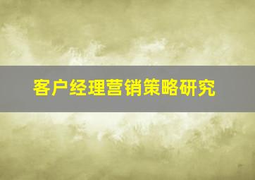 客户经理营销策略研究