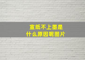 宣纸不上墨是什么原因呢图片