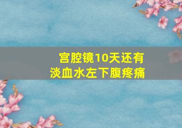 宫腔镜10天还有淡血水左下腹疼痛