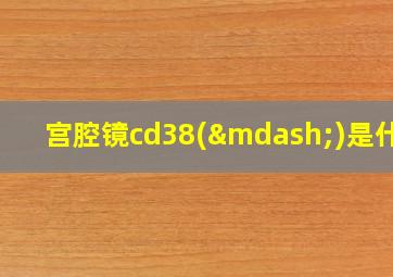 宫腔镜cd38(—)是什么