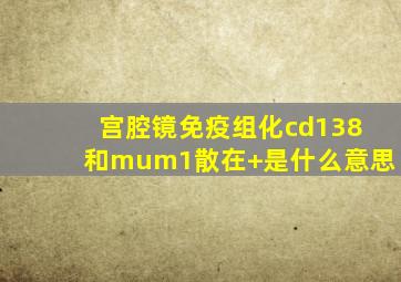 宫腔镜免疫组化cd138和mum1散在+是什么意思