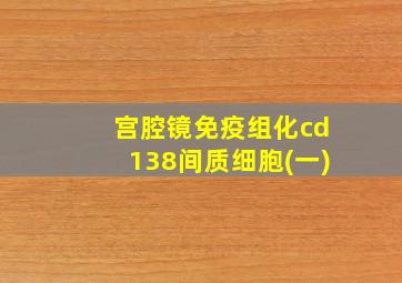 宫腔镜免疫组化cd138间质细胞(一)