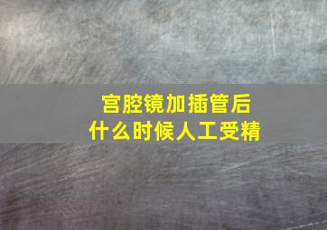 宫腔镜加插管后什么时候人工受精