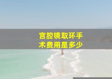 宫腔镜取环手术费用是多少