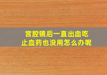 宫腔镜后一直出血吃止血药也没用怎么办呢