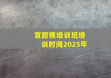 宫腔镜培训班培训时间2025年