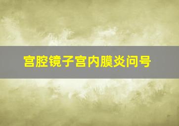 宫腔镜子宫内膜炎问号