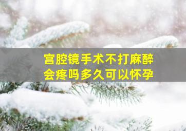 宫腔镜手术不打麻醉会疼吗多久可以怀孕