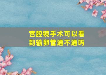 宫腔镜手术可以看到输卵管通不通吗