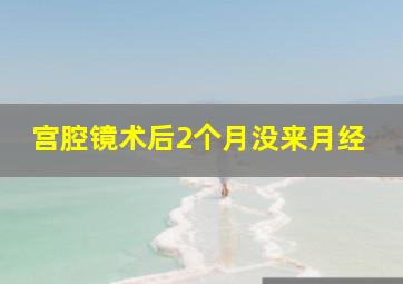 宫腔镜术后2个月没来月经