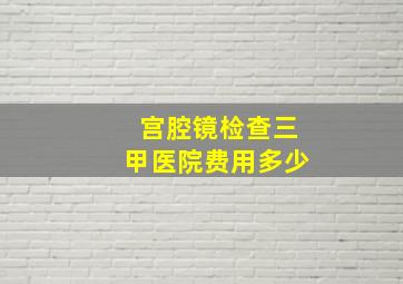 宫腔镜检查三甲医院费用多少