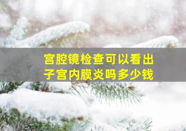 宫腔镜检查可以看出子宫内膜炎吗多少钱