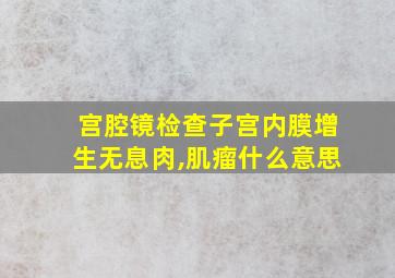 宫腔镜检查子宫内膜增生无息肉,肌瘤什么意思