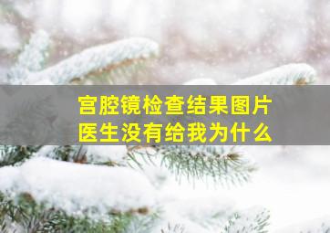 宫腔镜检查结果图片医生没有给我为什么