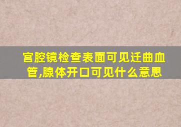 宫腔镜检查表面可见迁曲血管,腺体开口可见什么意思