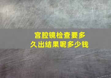 宫腔镜检查要多久出结果呢多少钱