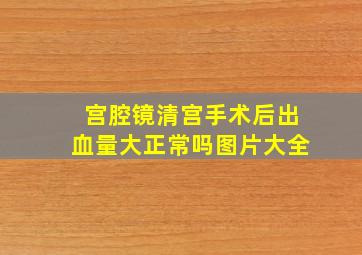 宫腔镜清宫手术后出血量大正常吗图片大全