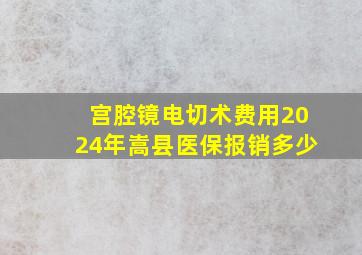 宫腔镜电切术费用2024年嵩县医保报销多少