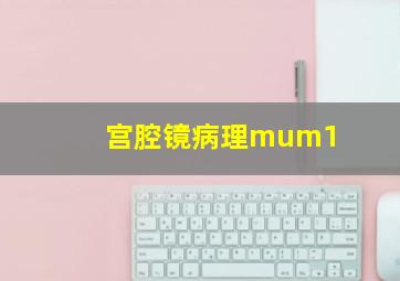 宫腔镜病理mum1