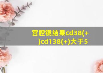 宫腔镜结果cd38(+)cd138(+)大于5