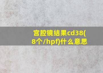 宫腔镜结果cd38(8个/hpf)什么意思