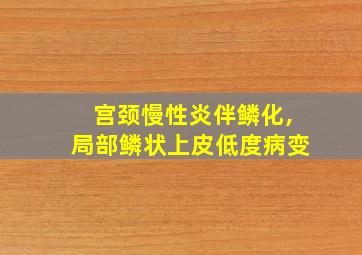 宫颈慢性炎伴鳞化,局部鳞状上皮低度病变