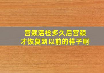 宫颈活检多久后宫颈才恢复到以前的样子啊