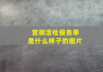 宫颈活检报告单是什么样子的图片