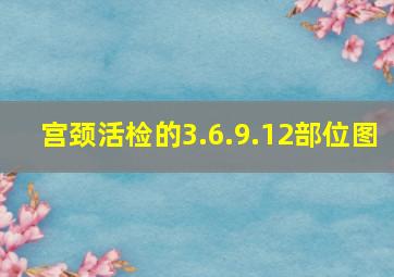 宫颈活检的3.6.9.12部位图