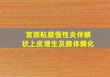 宫颈粘膜慢性炎伴鳞状上皮增生及腺体鳞化