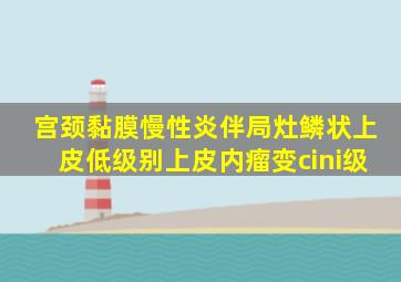 宫颈黏膜慢性炎伴局灶鳞状上皮低级别上皮内瘤变cini级