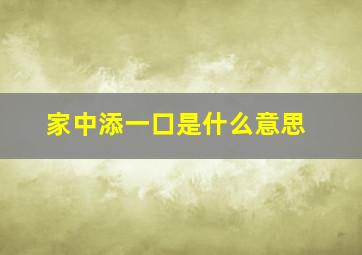 家中添一口是什么意思